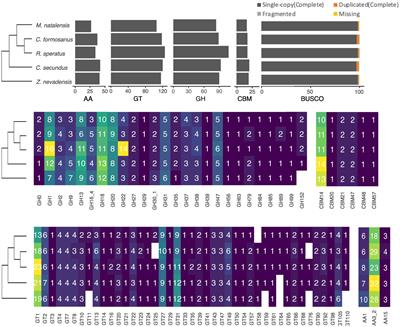 Genome-wide identification reveals conserved carbohydrate-active enzyme repertoire in termites